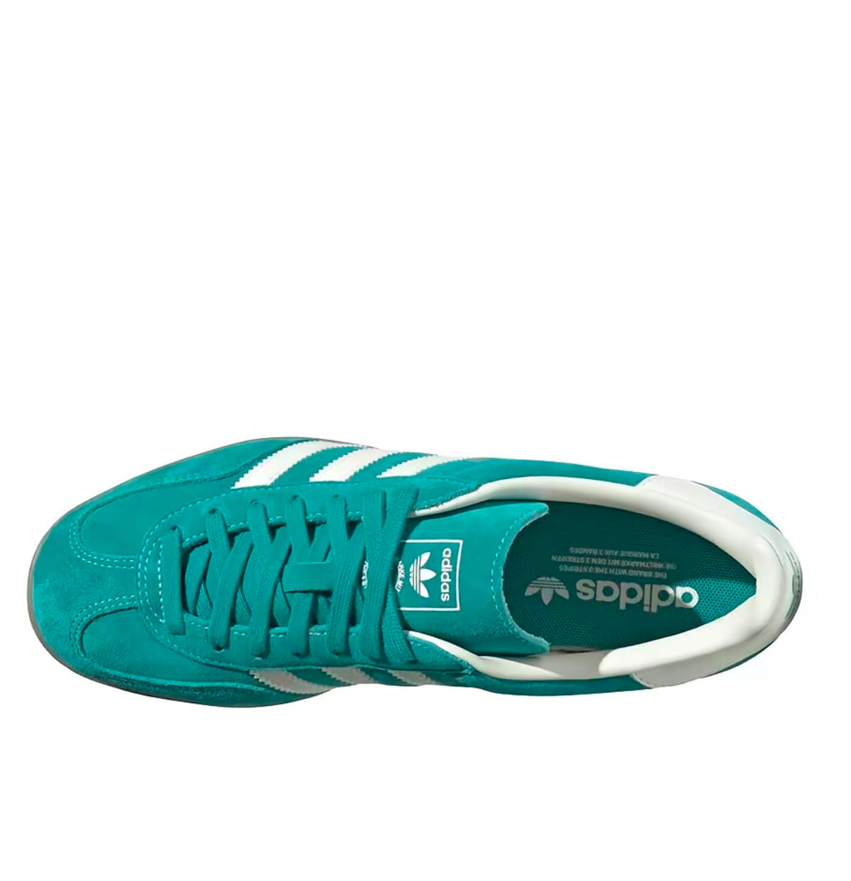 Gazelle "Turquoise Limited Edition"