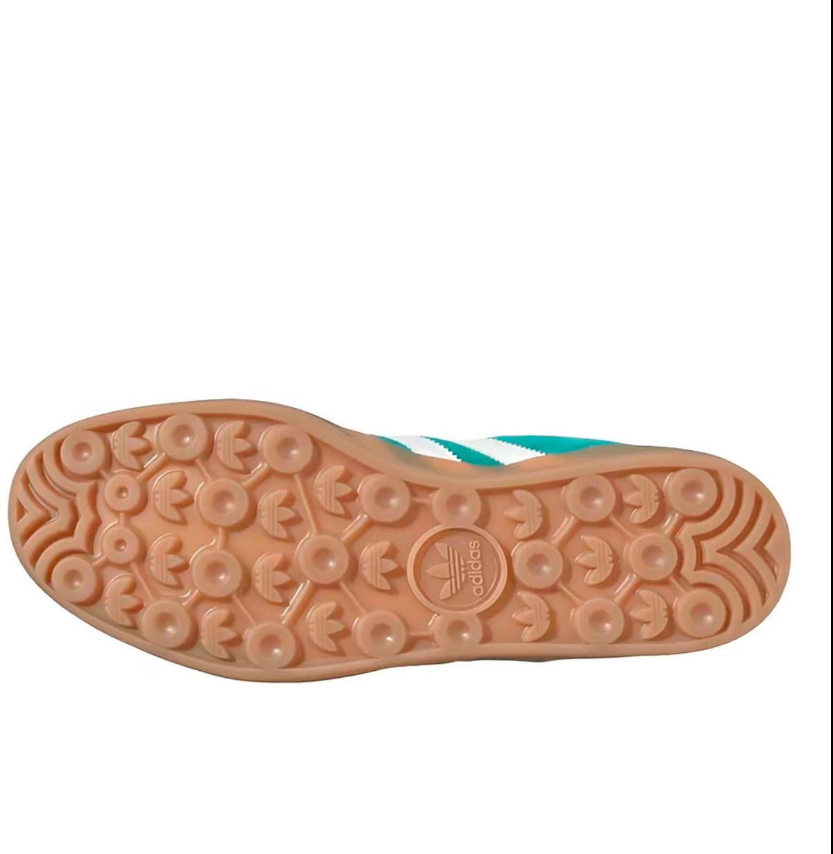 Gazelle "Turquoise Limited Edition"